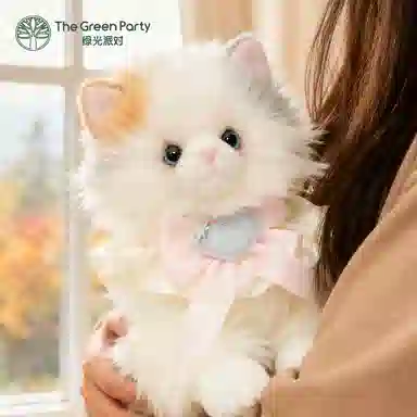 The Green Party 20cm