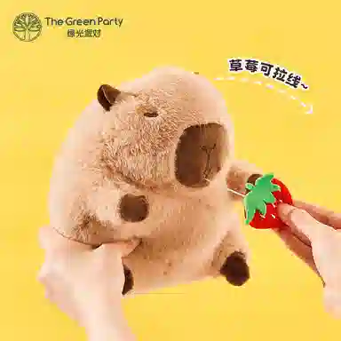 The Green Party 11cm22cm