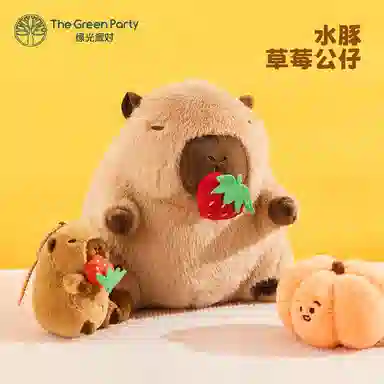 The Green Party 11cm22cm