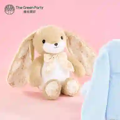 The Green Party 30cm40cm