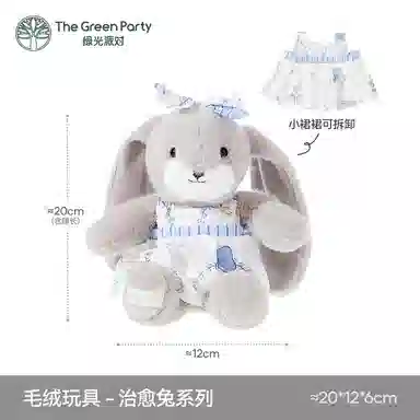 The Green Party 20cm30cm