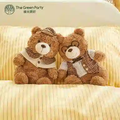 The Green Party 25cm38cm