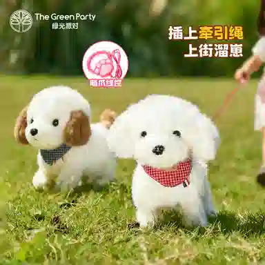 The Green Party 22cm