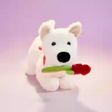 The Green Party 20cm