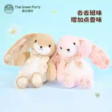 The Green Party 30cm40cm