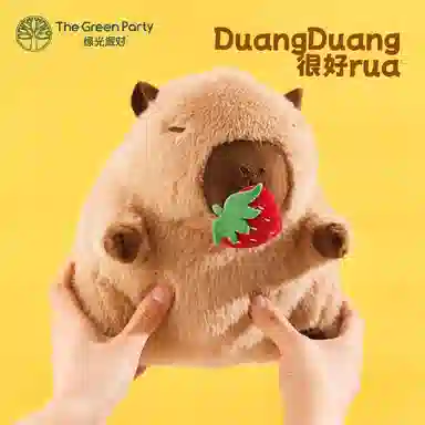 The Green Party 11cm22cm