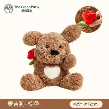 The Green Party 25cm36cm