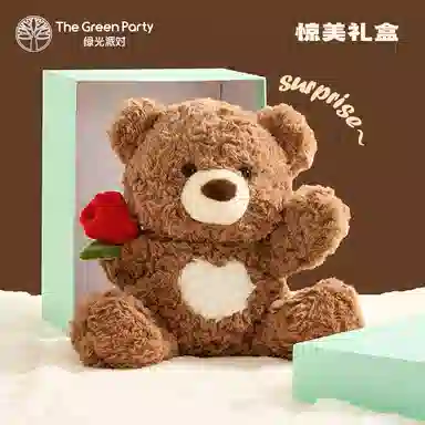 The Green Party 25cm36cm