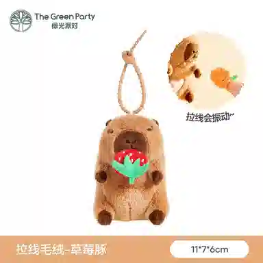 The Green Party 11cm22cm