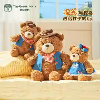 The Green Party 25cm38cm