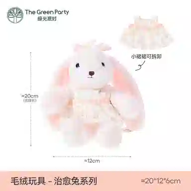 The Green Party 20cm30cm