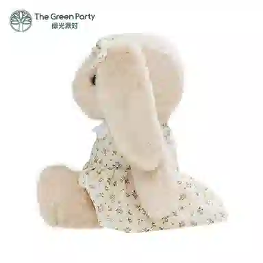 The Green Party 23cm32cm