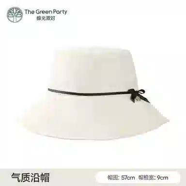 The Green Party