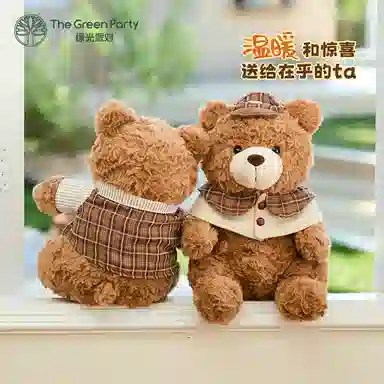 The Green Party 25cm38cm