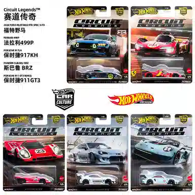 Hot Wheels 911GT3 499P