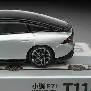 P7+
