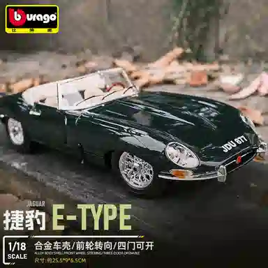 118 E-TYPE_