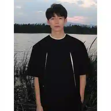 weles T