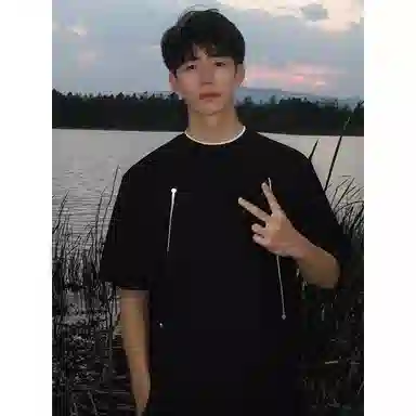 weles T