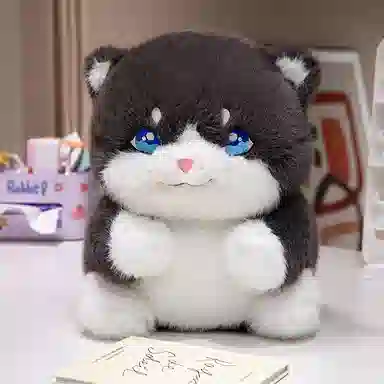 40cm