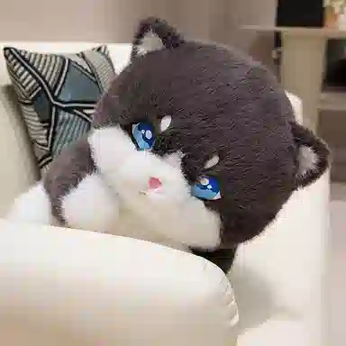 40cm