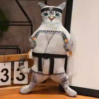 30cm40cm