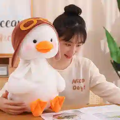 25cm40cm55cm