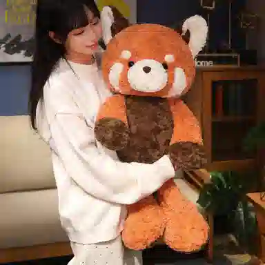 3 50cm80cm
