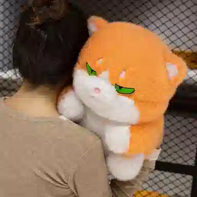 40cm