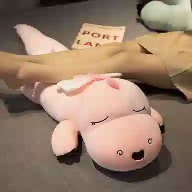 100cm140cm160cm230cm