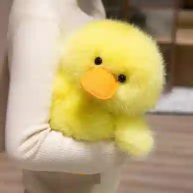 25cm30cm