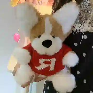 DIY 30cm