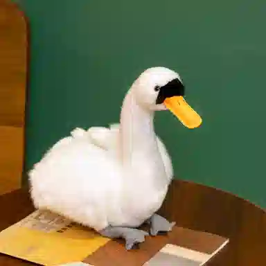 26cm