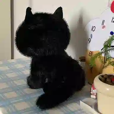 30cm