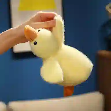 25cm