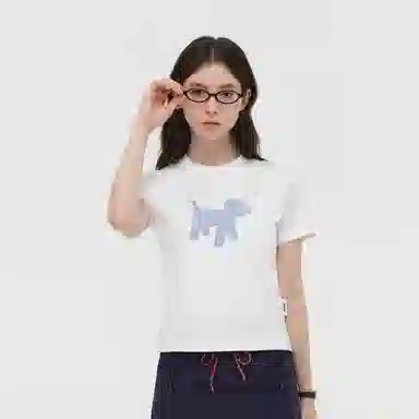 PCLP T