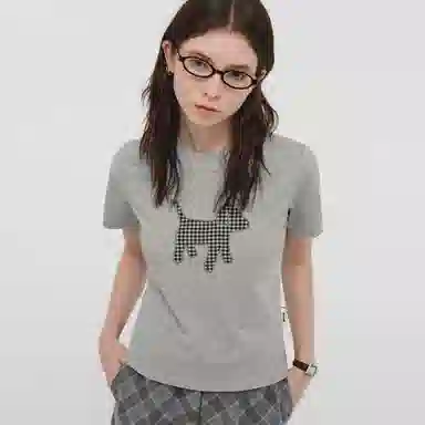 PCLP T