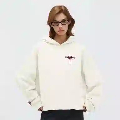 PCLP Hoodie