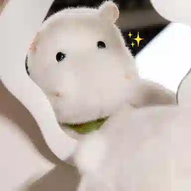 MERCONSER 25cm30cm45cm