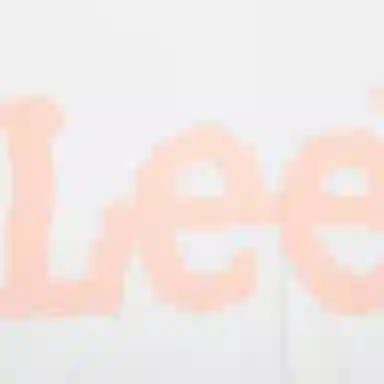 Lee T