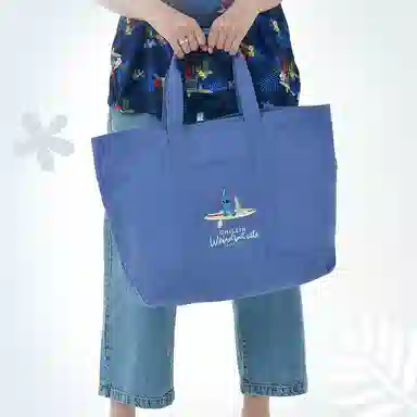Disney x Disney store IP