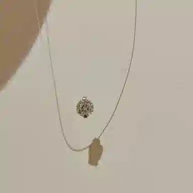 ins S925