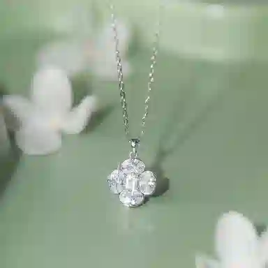 ins S925
