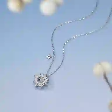 ins S925