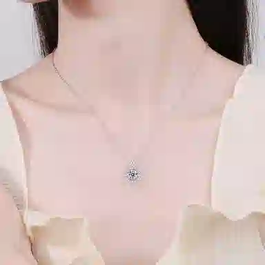 ins S925