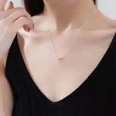 ins S999