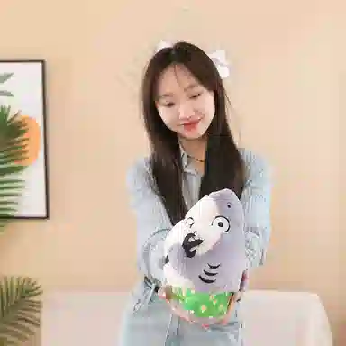 25cm35cm30cm40cm60cm