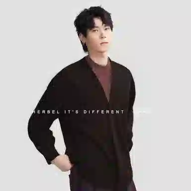 HERBEL V-Neck Long Sleeve Shirt