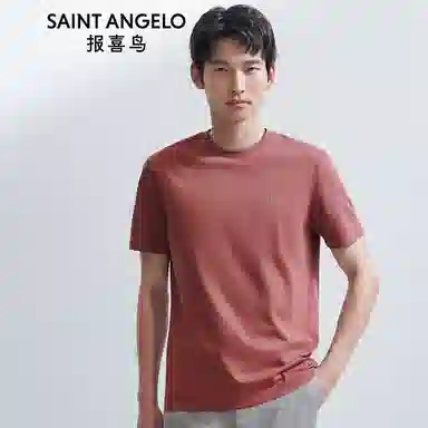 SAINT ANGELO T