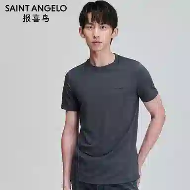 SAINT ANGELO T